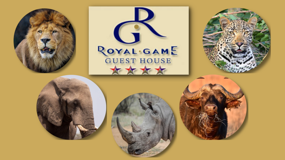 Royal Game Guest House Phalaborwa